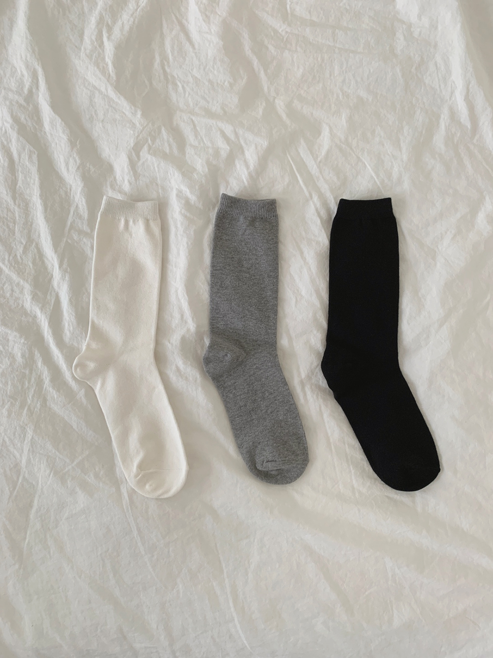 Classic Socks [3colors]